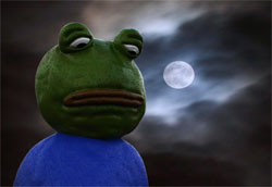 Sad Frog